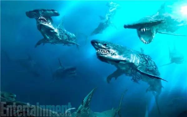 加勒比海盗骷髅鲨鱼完整版,加勒比海盗5中的亡灵鲨鱼