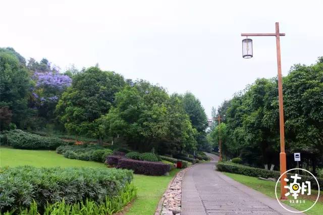 重庆桂花园景点,重庆桂花公园免费
