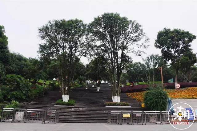 重庆桂花园景点,重庆桂花公园免费