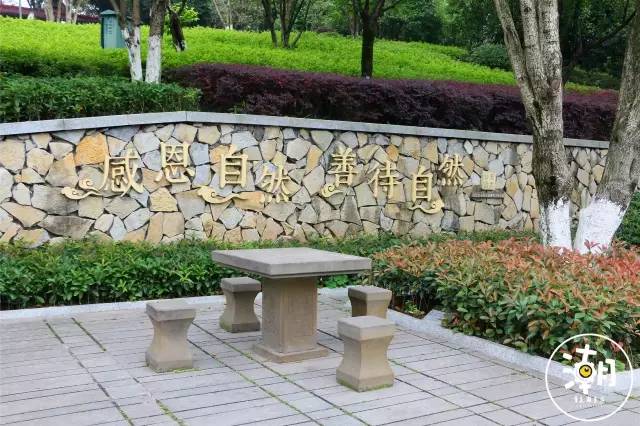 重庆桂花园景点,重庆桂花公园免费