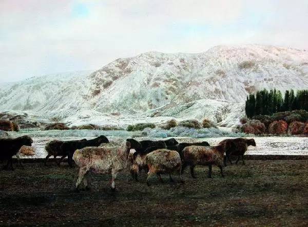 许海刚的水彩画,许海刚水彩画