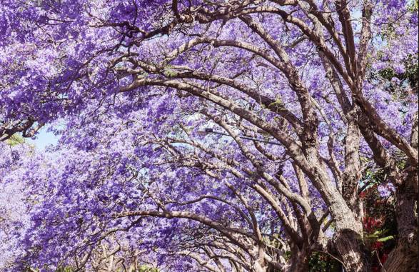 先定一个小目标活下来,先定一个小目标全集