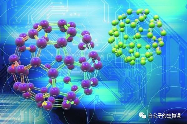 300倍显微镜能观察什么,什么东西可以通过显微镜来观察