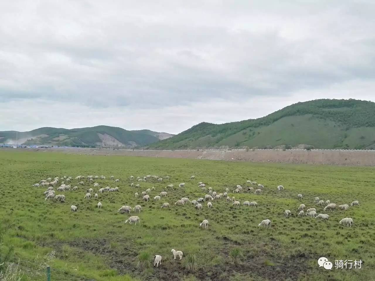 北极村到呼伦贝尔再到辽宁,北极村到加格达奇多少公里