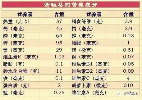 小秋葵有什么好吃的,夏天要多吃秋葵教你新吃法