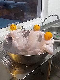 搞笑gif动图：汪星人，你是打算练蛤蟆神功吗