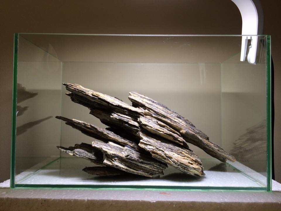 小型圆形草缸开缸过程,草缸开缸第一天要不要开过滤