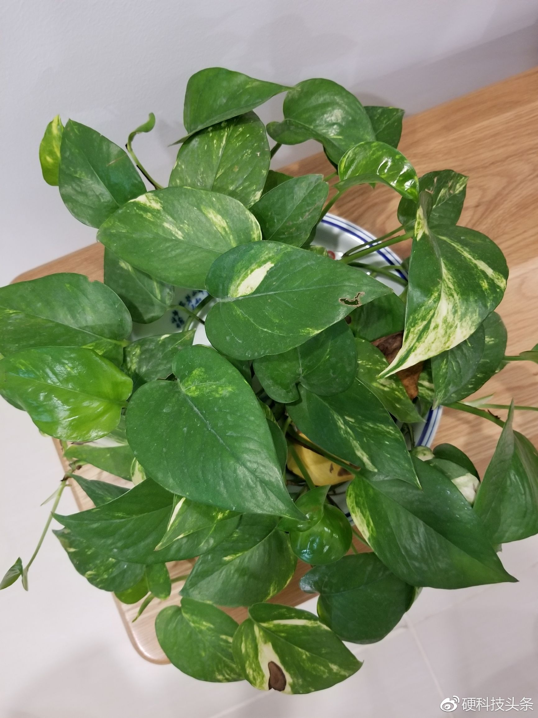 三星盖乐世s8安卓9,安卓阵营体验最好的手机