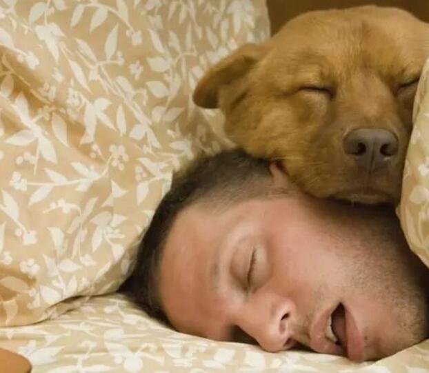 孝感土话大全完整版,孝感话视频