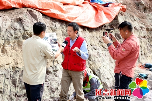 恐龙挖掘现场直播,恐龙化石发掘现场直播