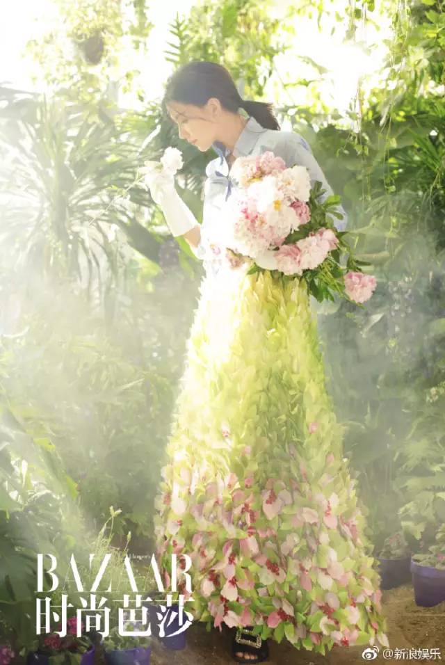 思美人热搜动图,思美人预告片完整版