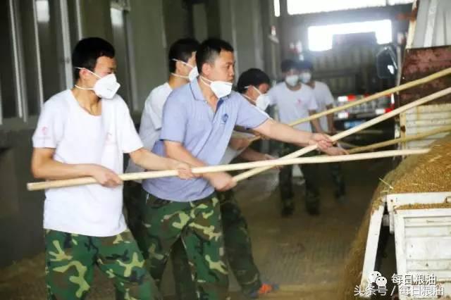 金沙河挂面是面粉起家吗,金沙河鸡蛋挂面纯小麦