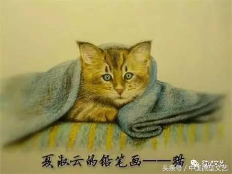 王子红尘品读美静杯诗歌