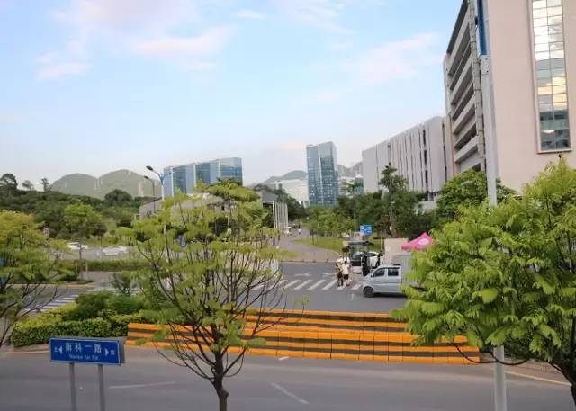 18所大学“投怀”西丽大学城！（附高考查分选志愿攻略）