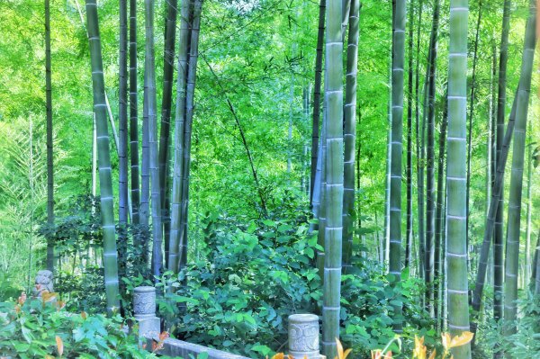 芜湖马仁奇峰玻璃栈道门票,马仁奇峰天梯玻璃栈道