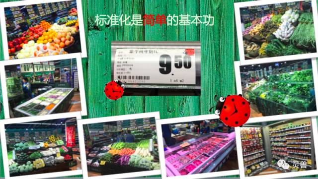 史无前例干货｜乐城王卫：精品超市没什么了不起，折扣店才是未来
