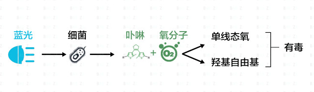 怎样才能祛痘去黑头去闭口,祛痘去黑头粉刺闭口