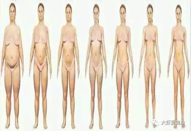 增肌粉和蛋白粉推荐,增肌粉蛋粉