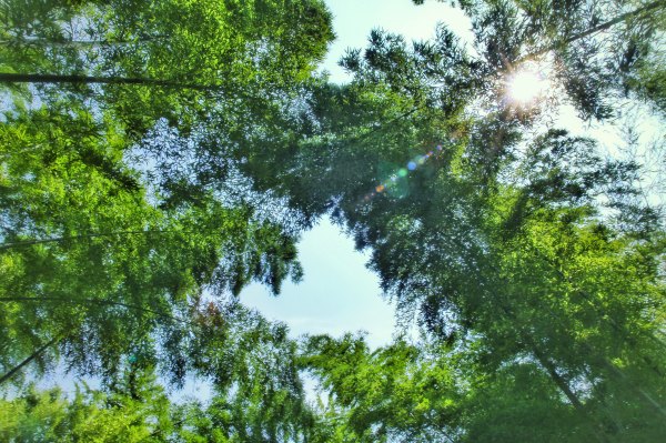 芜湖马仁奇峰玻璃栈道门票,马仁奇峰天梯玻璃栈道