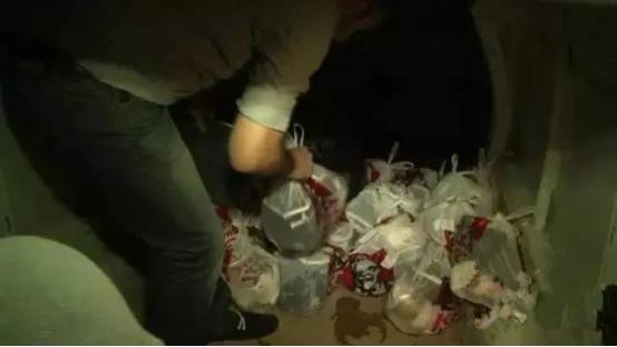 在地球另一边,在地球的另一边完整版