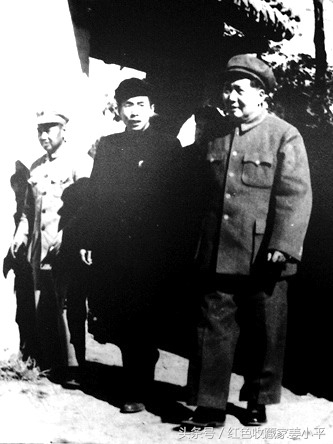 曾率部击毙日军少将原徐州市市长张光中任命科长证书