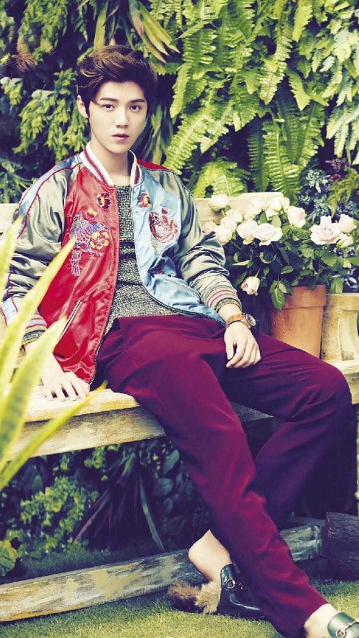 帅气鹿晗主题壁纸高清图片,鹿晗手机壁纸高清帅气动漫