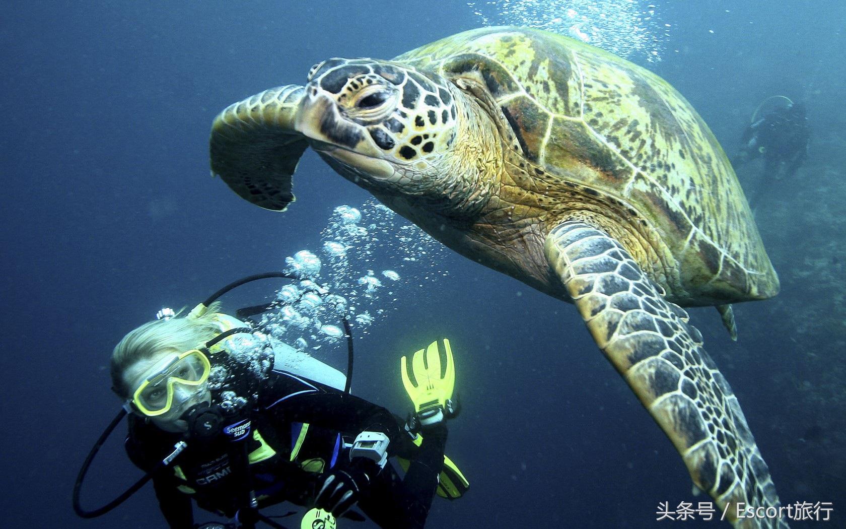 暑期带你去旅游,暑假带你旅游