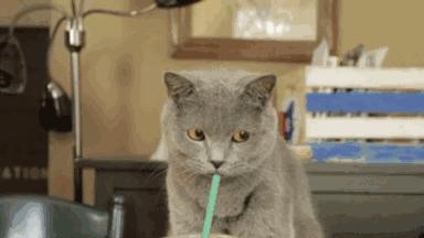 黑暗之魂3变态武器排行,黑暗之魂3非主流开荒武器