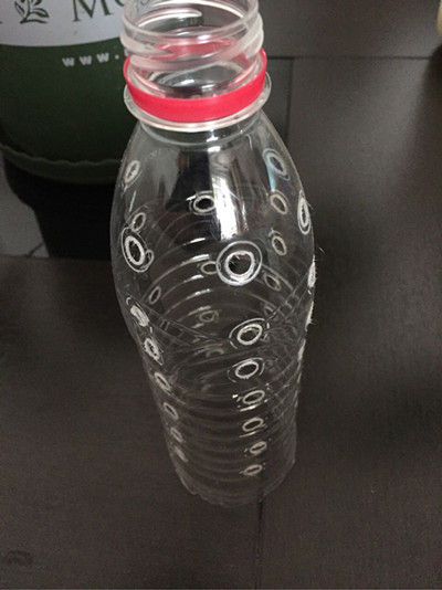 塑料瓶水培绿萝的正确方法,塑料瓶手工制作花瓶养绿萝