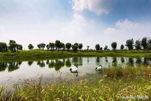 郑州最新地标视频,郑州的独一无二的地标