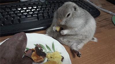 不节食不动刀也能瘦成闪电,不用锻炼不用节食就能瘦的办法