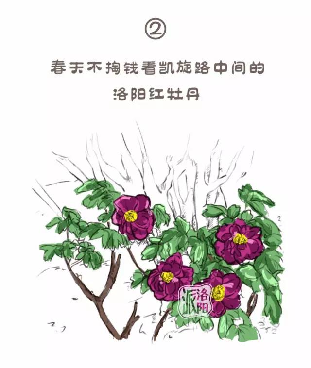 在洛阳生活中的感受,洛阳游玩真实感受