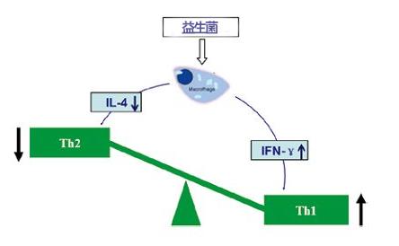 儿童抗过敏益生菌十大排名 (儿童抗过敏的益生菌有哪些)