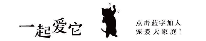 宠粮知识大全书,宠粮知识大全及答案