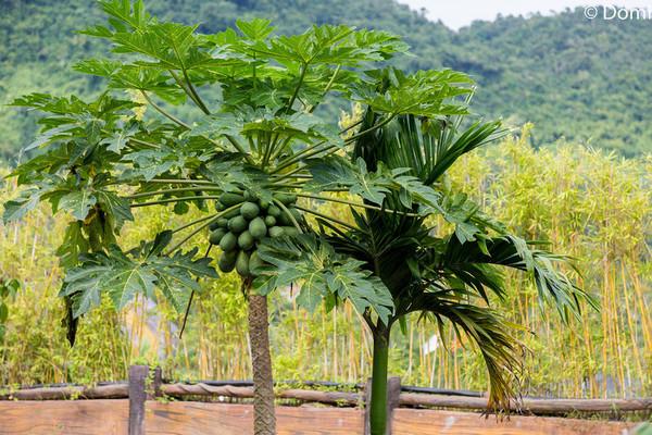 一顿海鲜大餐都有什么,海鲜大餐又便宜又营养又好吃