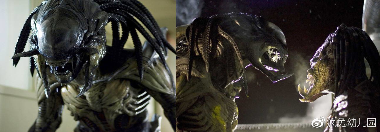 看异形整个系列顺序,想看懂异形先看哪一部