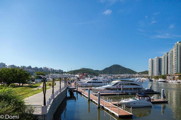一顿海鲜大餐都有什么,海鲜大餐又便宜又营养又好吃