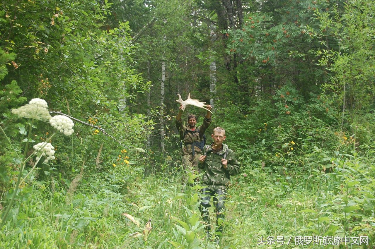 阿尔泰怎么样,阿尔泰什么地方