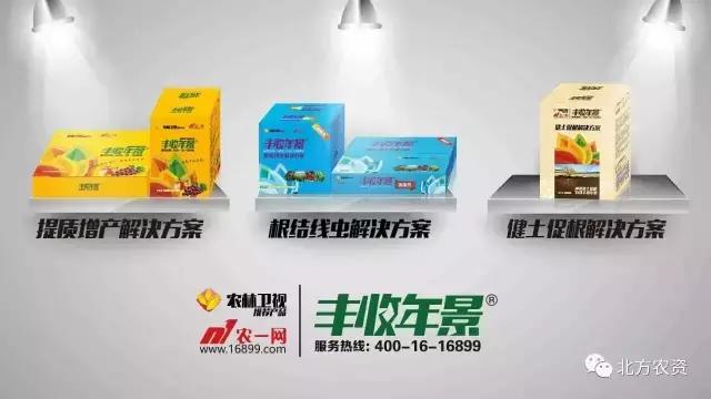 “农一”+“农林”这里的“丰收年景”独好