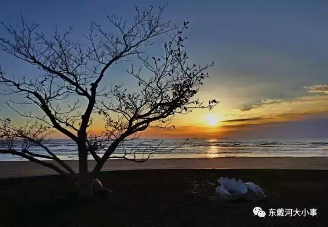 东戴河，比丽江清净，比大理多情，去过的人，没有一个人不爱它