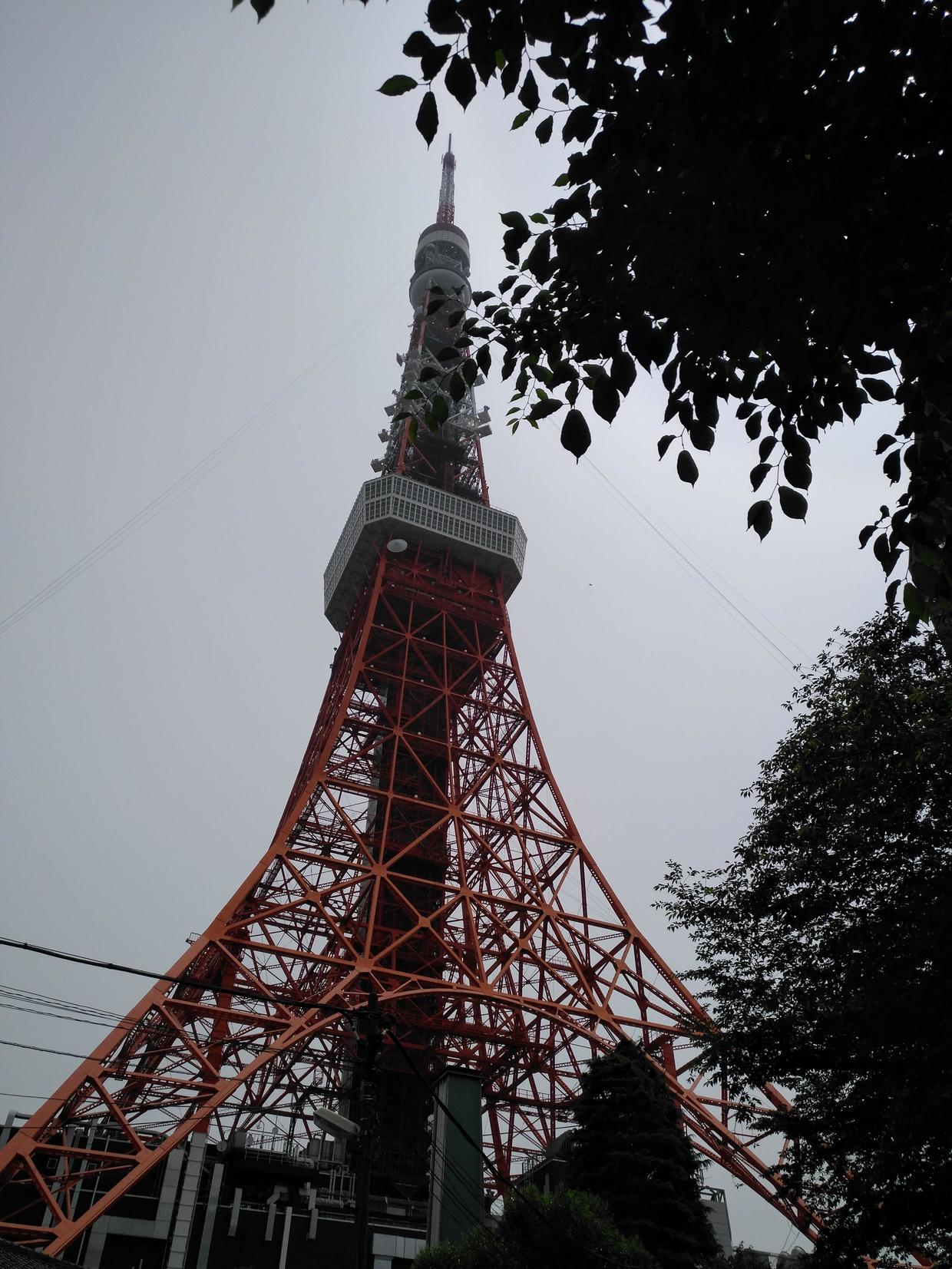 不会日语英语怎么去日本玩,英语日语不懂照样玩转日本大阪