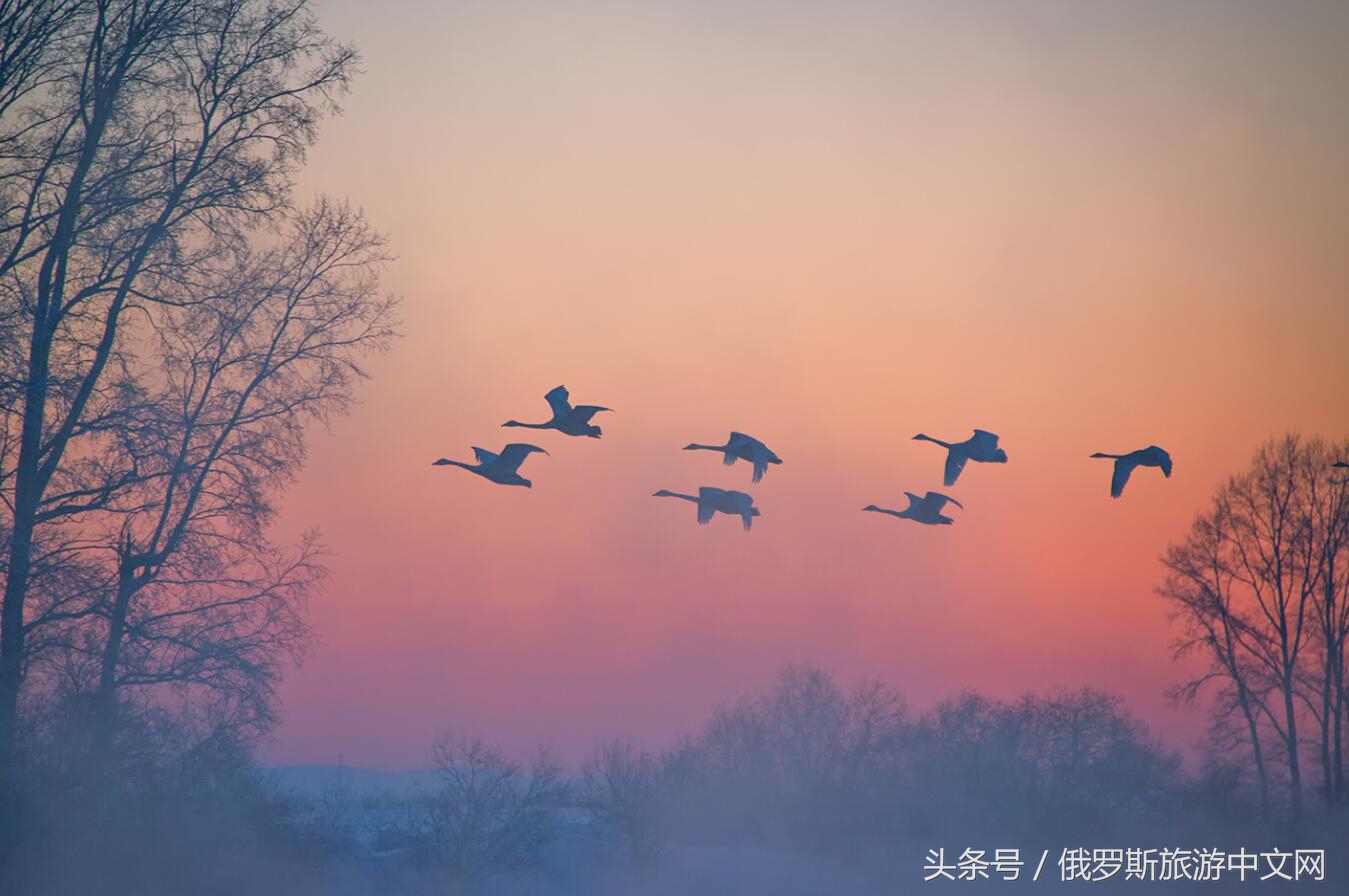 阿尔泰怎么样,阿尔泰什么地方