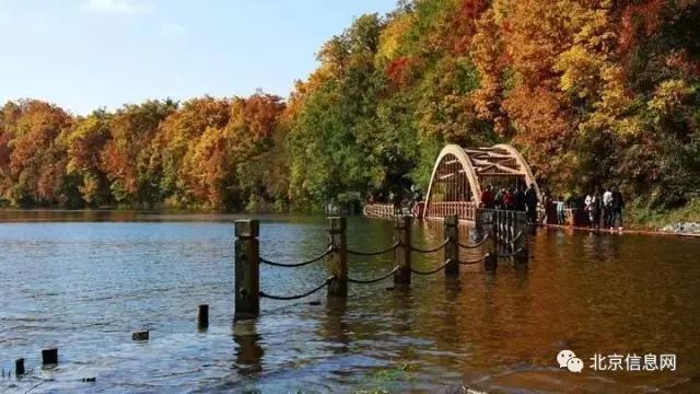 父亲节陪爸爸去玩耍,爸爸和宝贝间的互动父亲节