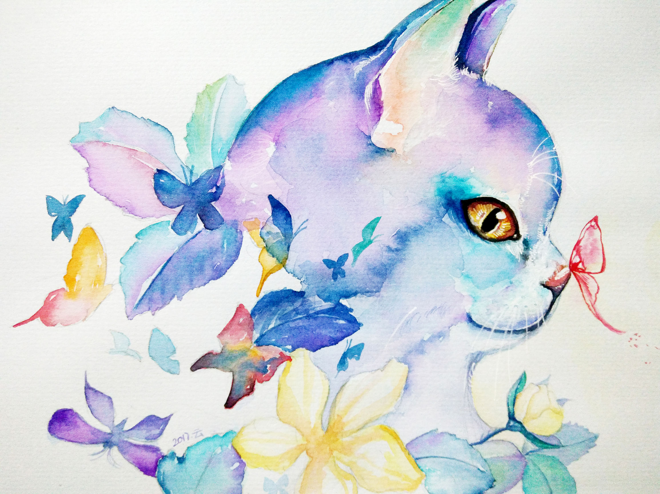 猫咪快速学会的技巧,猫咪快速教学