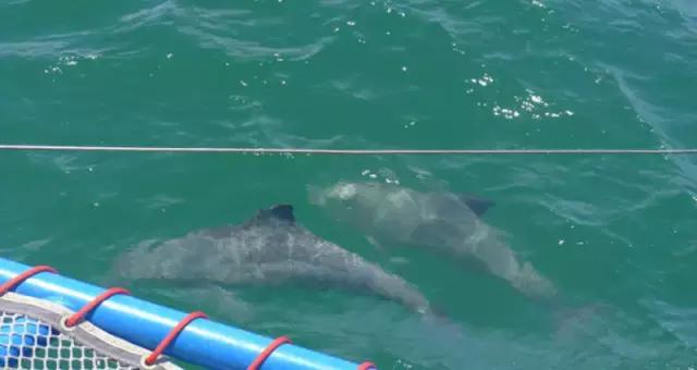 西澳珀斯游记,西澳游记攻略