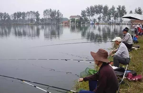 益安宁杯合唱四川比赛,益安宁丸合唱