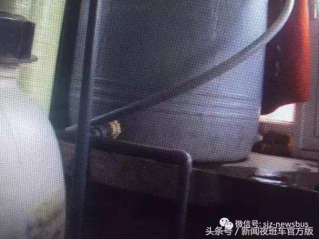 山泉水市场分析,山泉水哪个最便宜