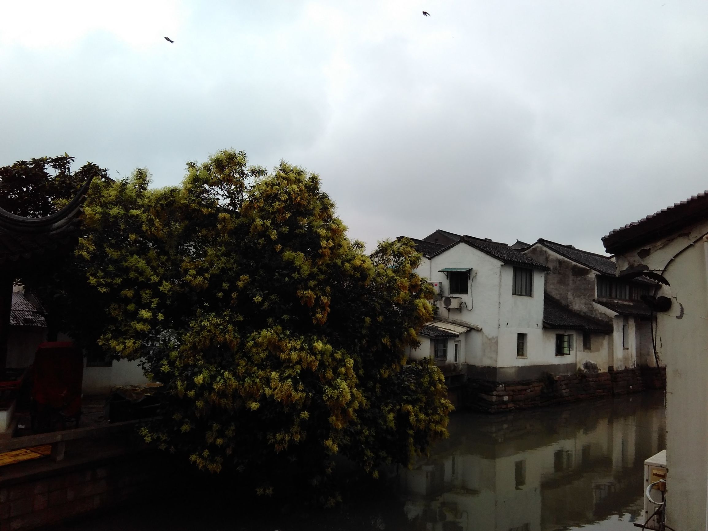 上有天堂下有苏杭苏州风景图片,上有天堂下有苏杭苏州旅游攻略