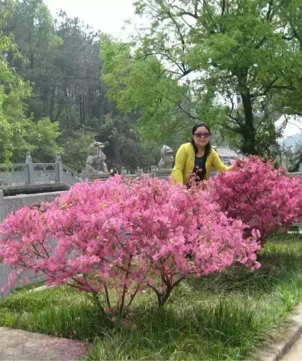 名师教日语半年,名师说专业