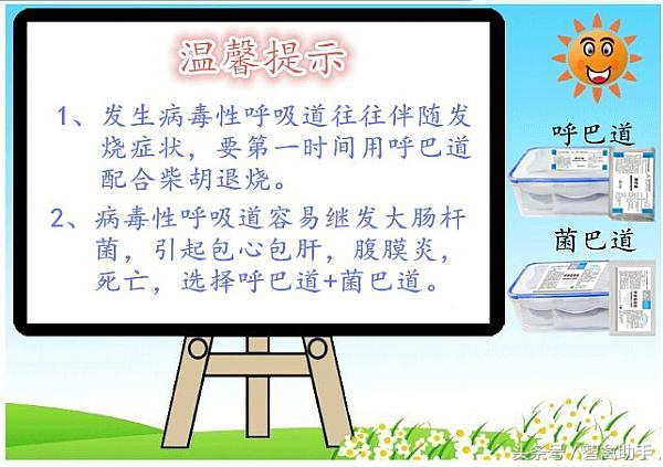 芦花鸡养殖技术大全,芦花鸡养殖技术知识大全